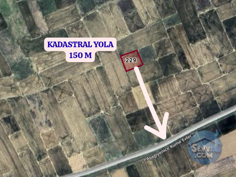 AFYONKARAHİSAR DAZKIRI AŞAĞIYENİCE  KÖYÜNDE 1.287 M²  TARLA  SATILIKTIR - AFYONKARAHİSAR DAZKIRI fotoğraf 3