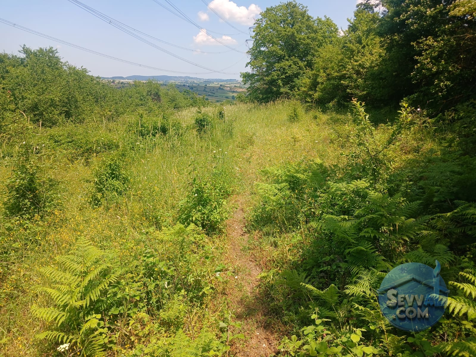 KOCAELİ KANDIRADA ARAÇ TAKASINA UYGUN 1.069 M² TARLA SATILIKTIR - Kocaeli Kandıra fotoğraf 3