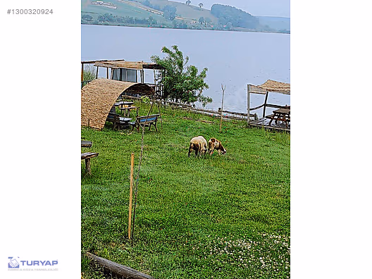 Derince Geredeli Satılık Tarla 5.930 m² (Sevindik Yakını) - KOCAELİ DERİNCE fotoğraf 5