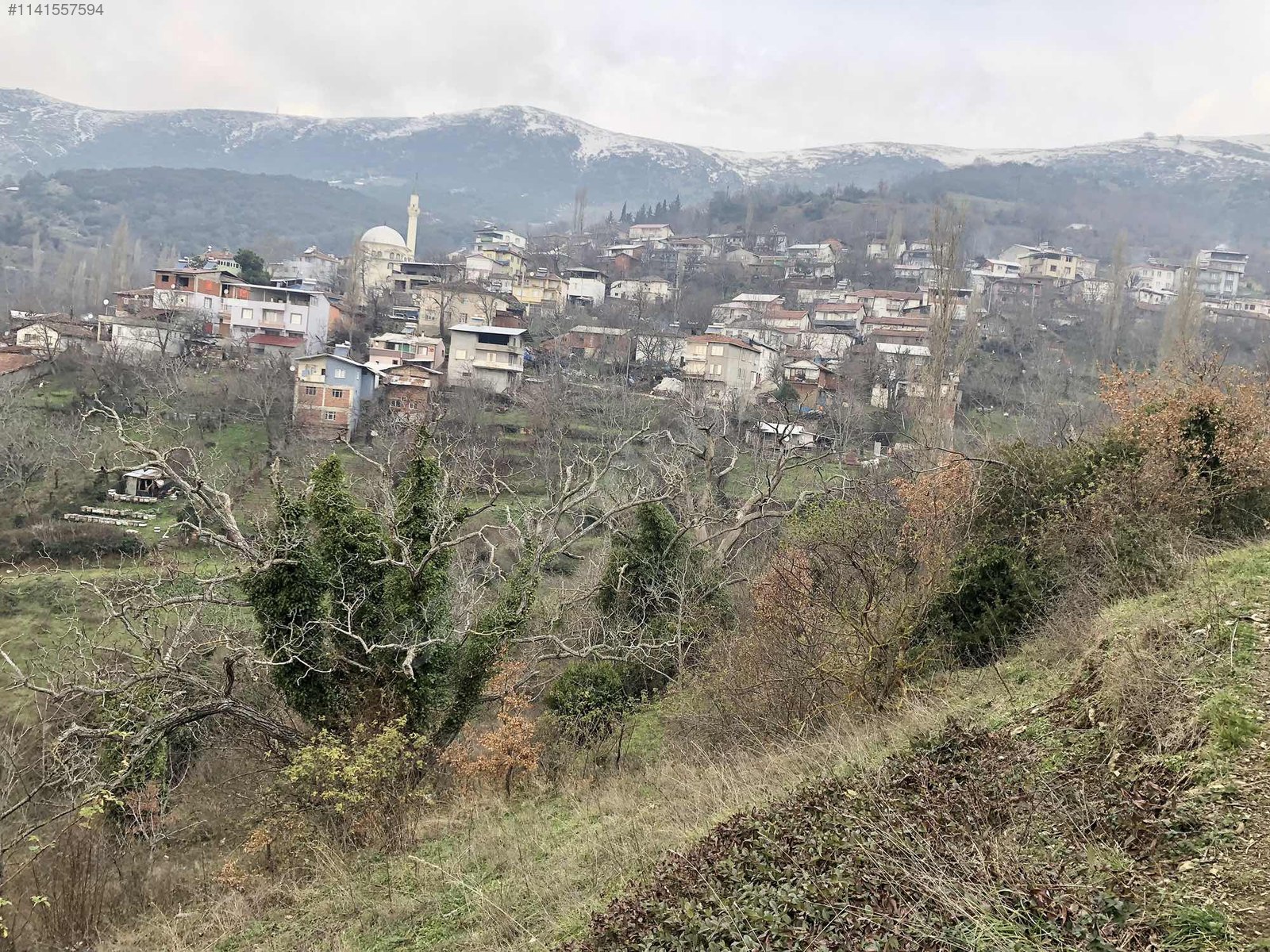 ŞAHİNYURDUNDA KÖY İÇİNDE ARSA - BURSA GEMLİK fotoğraf 13