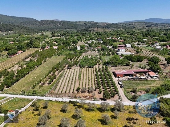 KUŞADASI KİRAZLI KÖYÜ’NDE SATILIK 5740 M2 TARLA - AYDIN KUŞADASI fotoğraf 5
