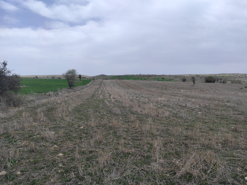 KÜTAHYA MERKEZ KÜKÜRT   KÖYÜNDE 3.353  M²  TARLA  SATILIKTIR - KÜTAHYA MERKEZ fotoğraf 11