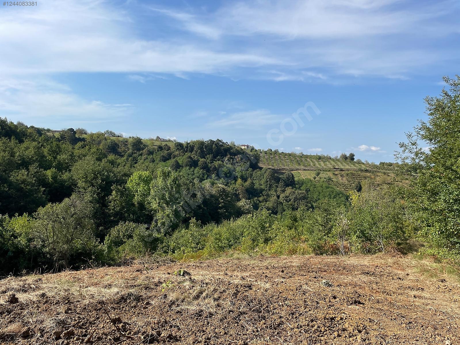 KOCAELİ İZMİT  ORTABURUN   MAHALLESİNDE 3.788 M²  TARLA  SATILIKTIR - KOCAELİ İZMİT fotoğraf 12