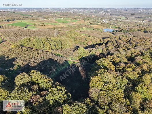 SAKARYA KAYNARCA CEBEK 2786 M2 KARE ORMANA CEPHELİ RESMİ YOLLU - SAKARYA KAYNARCA fotoğraf 5