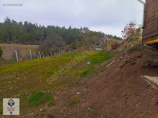YATIRIMLIK...BİLECİK GÖLPAZARINDA 6780 M2 (ARAÇ TAKASLI) BAHÇE - BİLECİK GÖLPAZARI fotoğraf 12