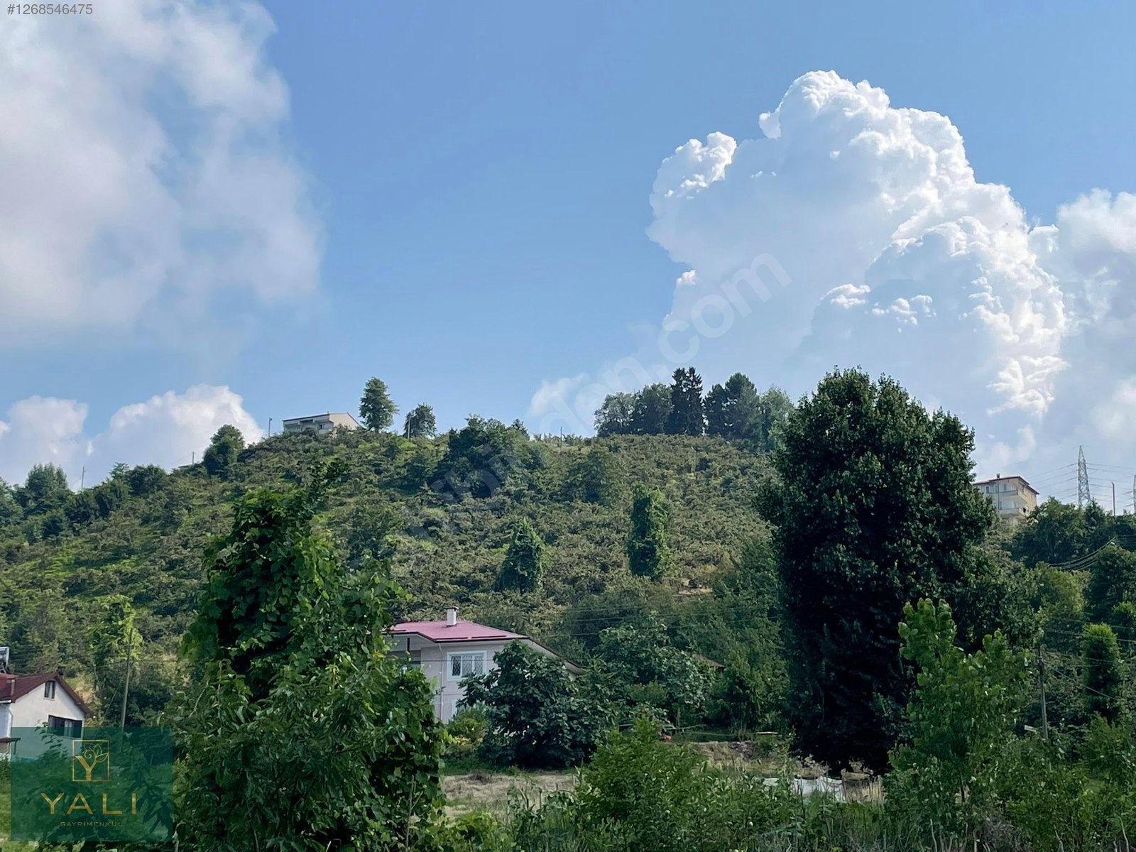 GİRESUN MERKEZ YALIKÖY MEVKİİ SATILIK ARAZİ - GİRESUN MERKEZ fotoğraf 6
