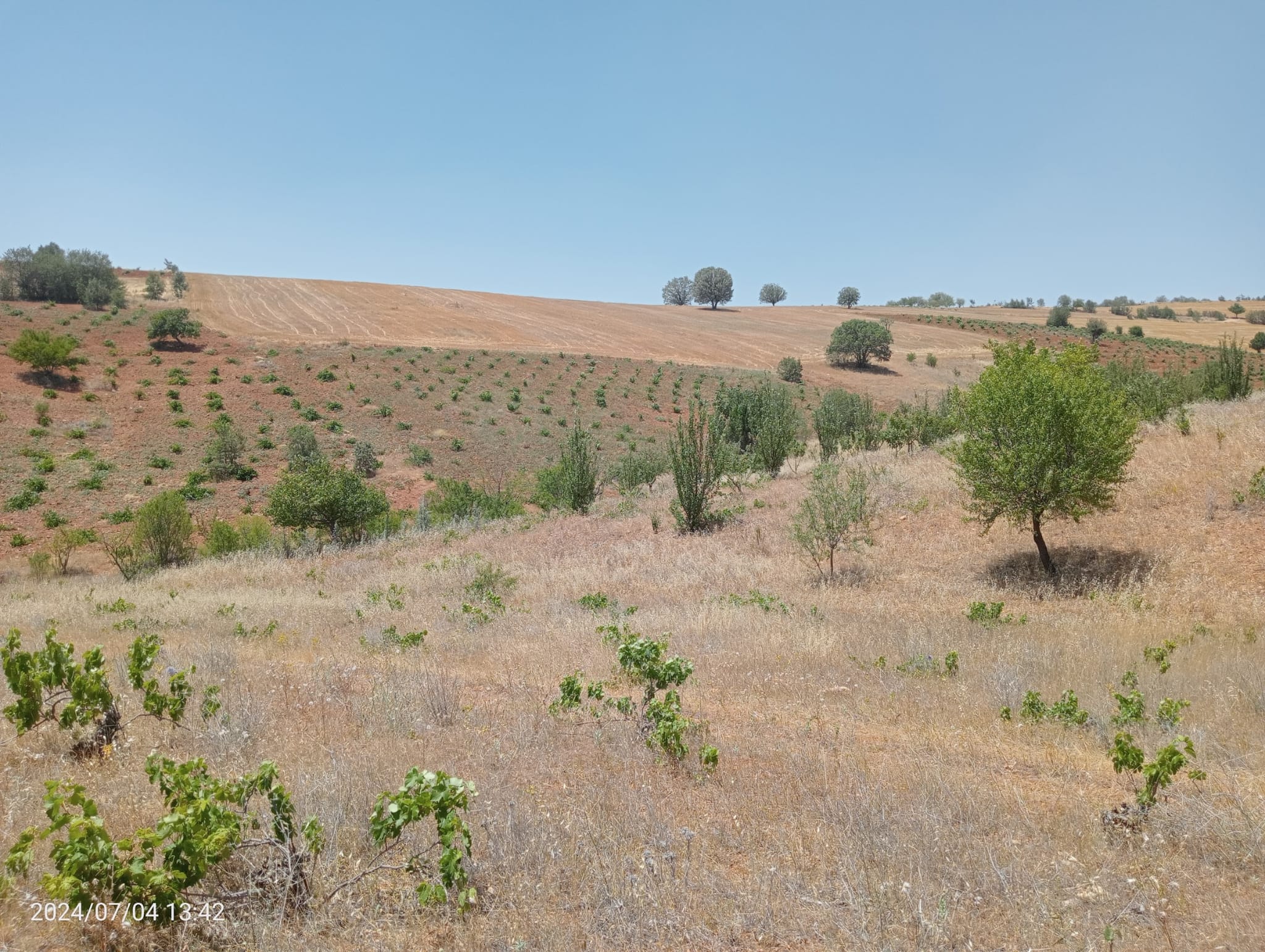 KARAMAN MERKEZ MURATDEDE  KÖYÜNDE 3.472  M²  BAĞ  SATILIKTIR - KARAMAN MERKEZ fotoğraf 10