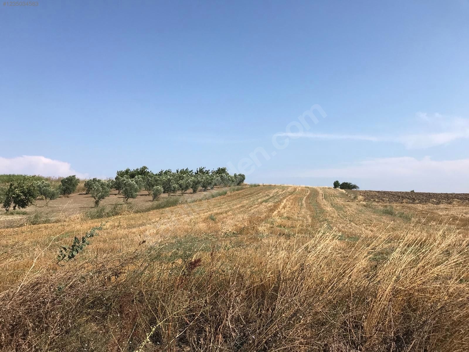 BURSA KARACABEY HARMANLI KÖYÜNDE 2.500  M² TARLA SATILIKTIR - BURSA KARACABEY fotoğraf 19