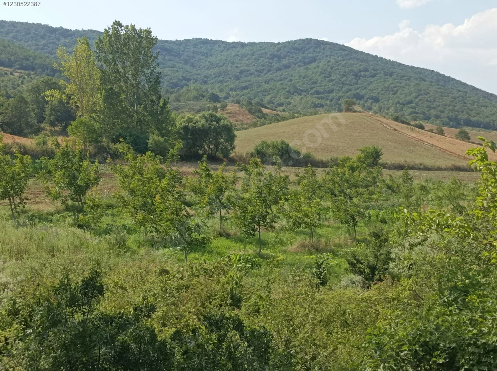 Yenişehir Fethiye de kurulu ceviz ve hobi bahcesi - BURSA YENİŞEHİR fotoğraf 2