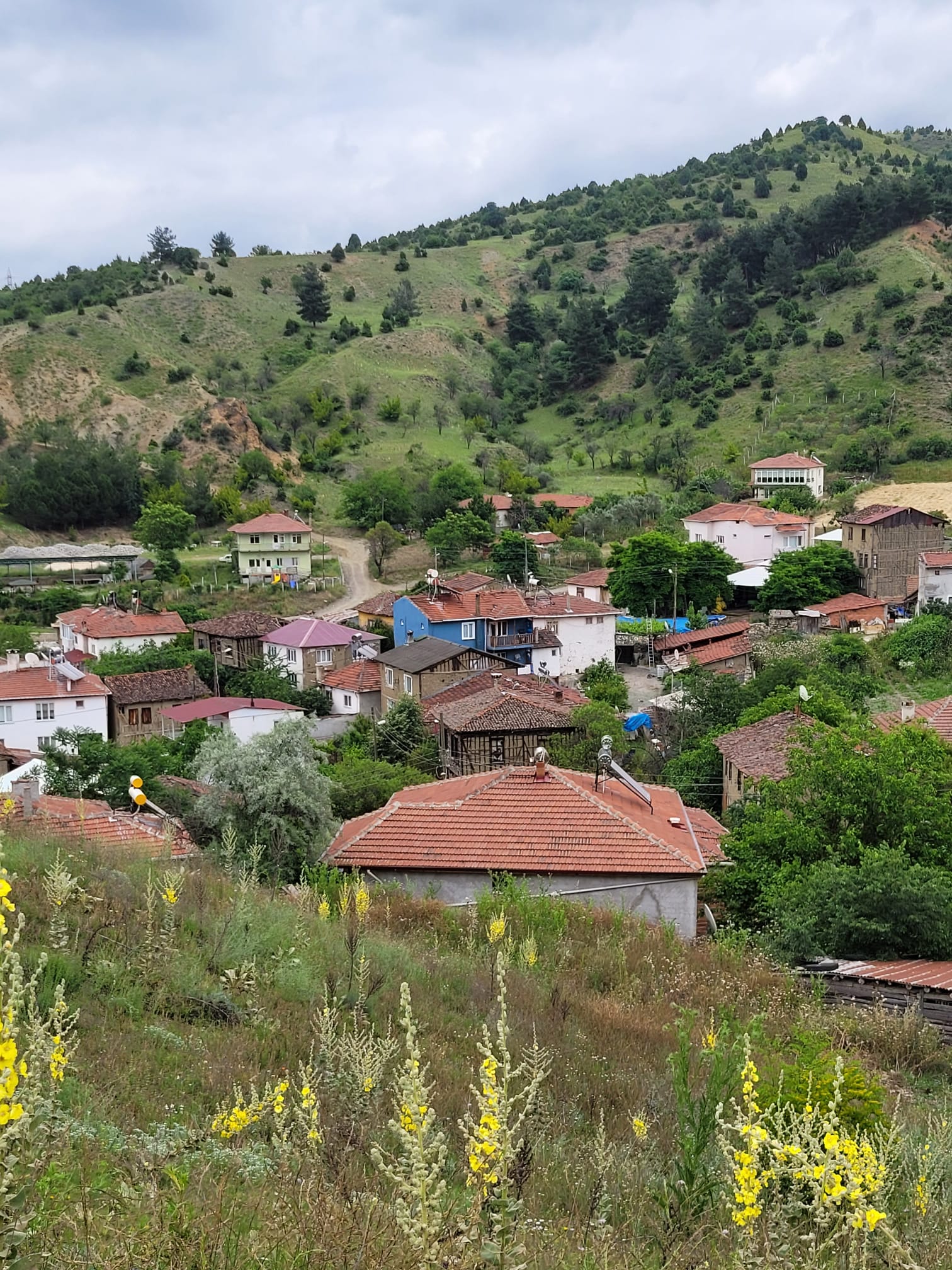 İlan Resmi