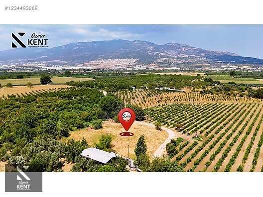 Kemalpaşa Yukarıkızılca Satılık 408 m2 Bahçe - İZMİR KEMALPAŞA fotoğraf 2