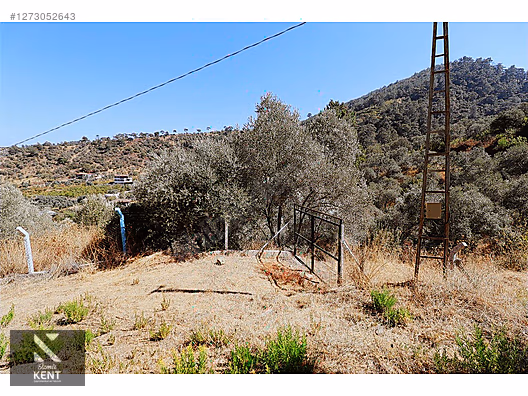 Kemalpaşa Aşağıkızılca Satılık 4536 m2 Bahçe - İZMİR KEMALPAŞA fotoğraf 2