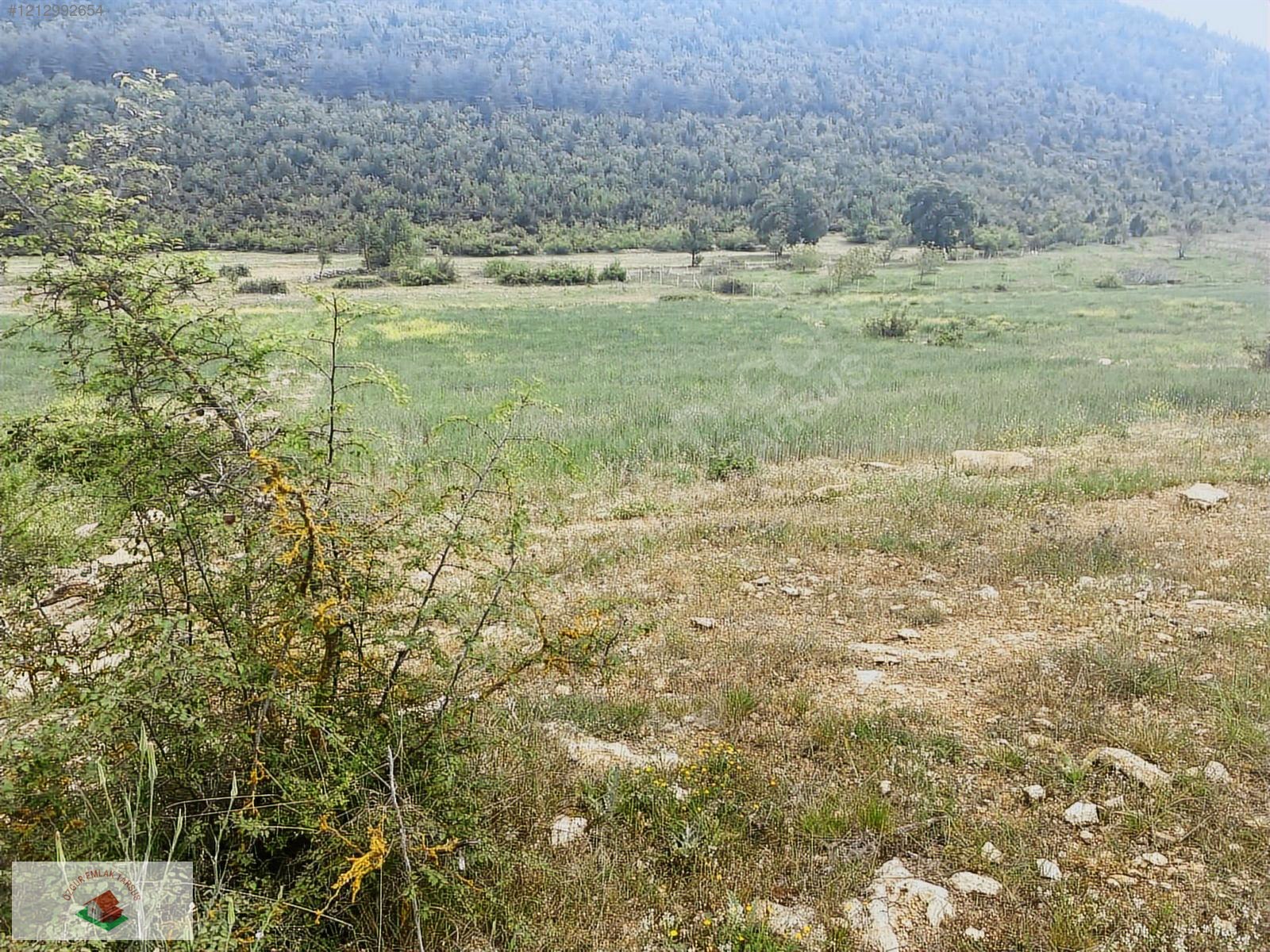 Çamlıyayla Giden Köyü Satılık Arsa Tek tapu - MERSİN ÇAMLIYAYLA fotoğraf 8