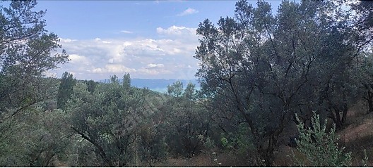 BURSA İZNİK MAHMUDİYE MAHALLESİ'NDE 903 M²  BAĞIMIZ SATILIKTIR - BURSA İZNİK fotoğraf 4