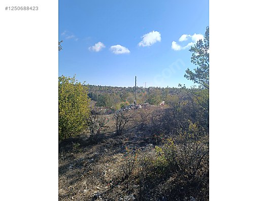    MERSİN GÜLNAR ÇUKURKONAK 2.499M² TARLAMIZ SATILIKTIR.   - MERSİN GÜLNAR fotoğraf 11