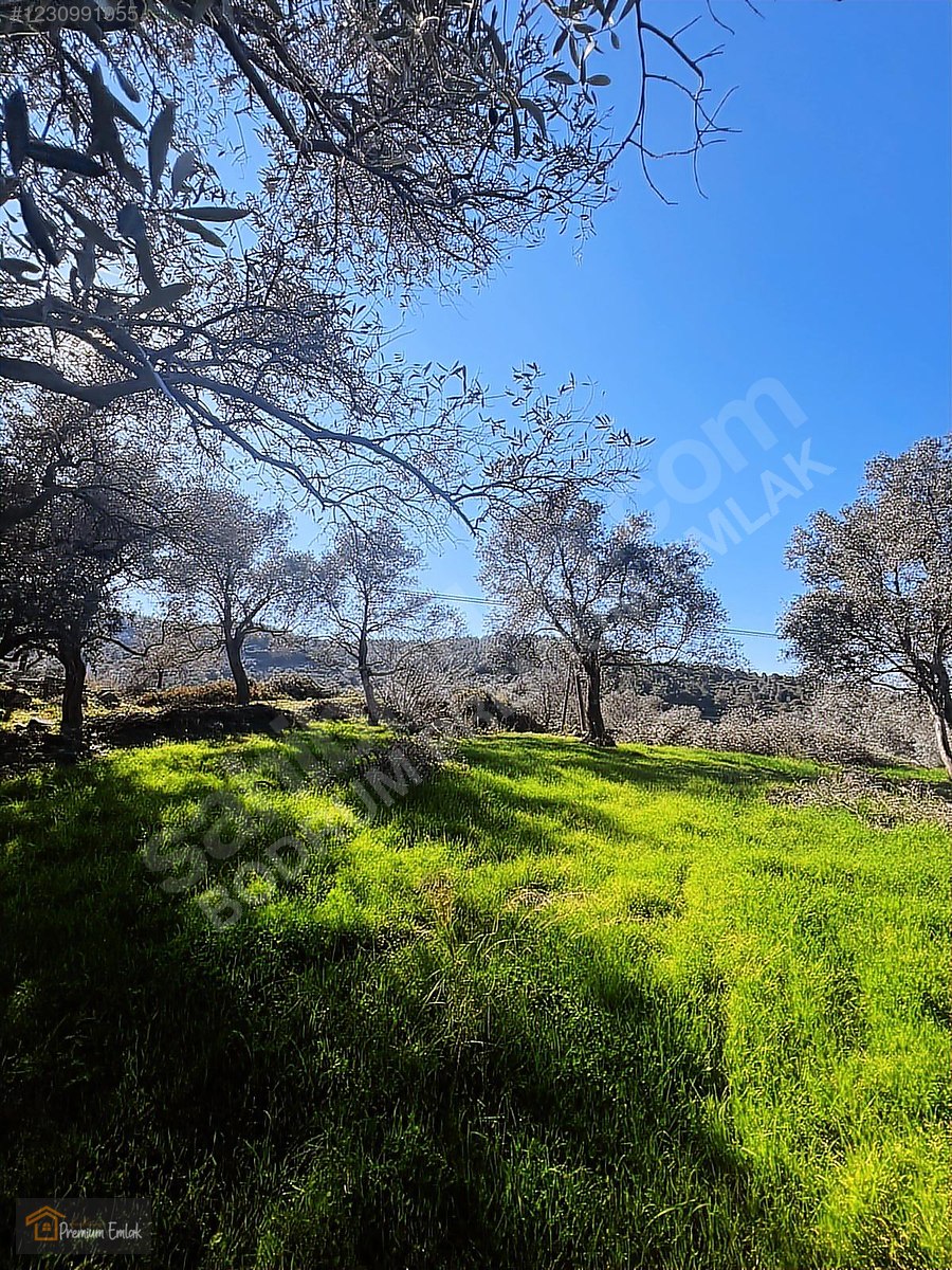 MİLAS KARACAHİSARDA KÖY İÇİ KAĞİR EV VE 980 M2 ARSASI - MUĞLA MİLAS fotoğraf 21