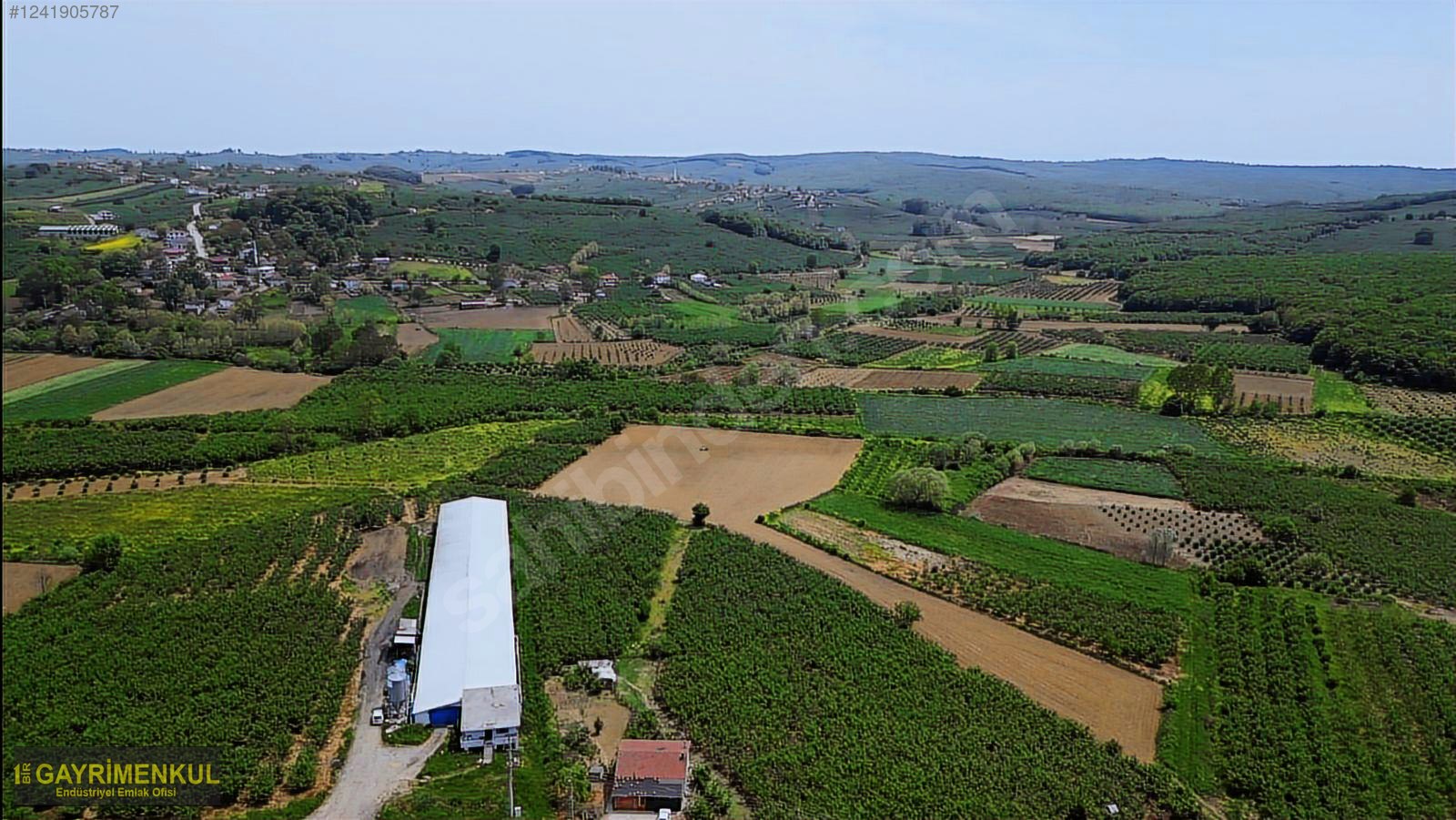 11.752 M² FIRSAT FINDIK BAHÇESİ SAKARYA KAYNARCA ZİAHMET MAH. - SAKARYA KAYNARCA fotoğraf 40