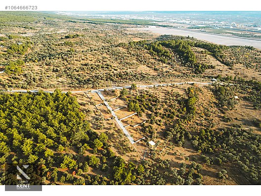 Kemalpaşa Yenmiş Satılık Bahçe 610 m2 - İZMİR KEMALPAŞA fotoğraf 2