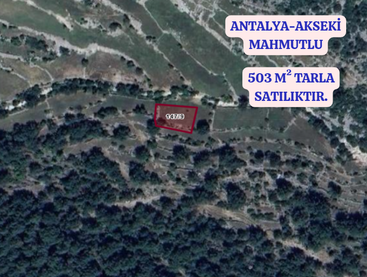 ANTALYA AKSEKİ MAHMUTLU KÖYÜNDE 503  M²  TARLA  SATILIKTIR - ANTALYA AKSEKİ fotoğraf 2