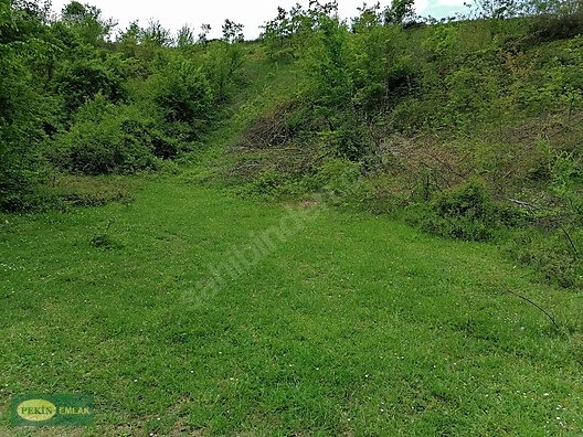 GÖLCÜK SİRETİYE KÖYÜNDE 3443 M2 SATILIK TARLA - KOCAELİ GÖLCÜK fotoğraf 4
