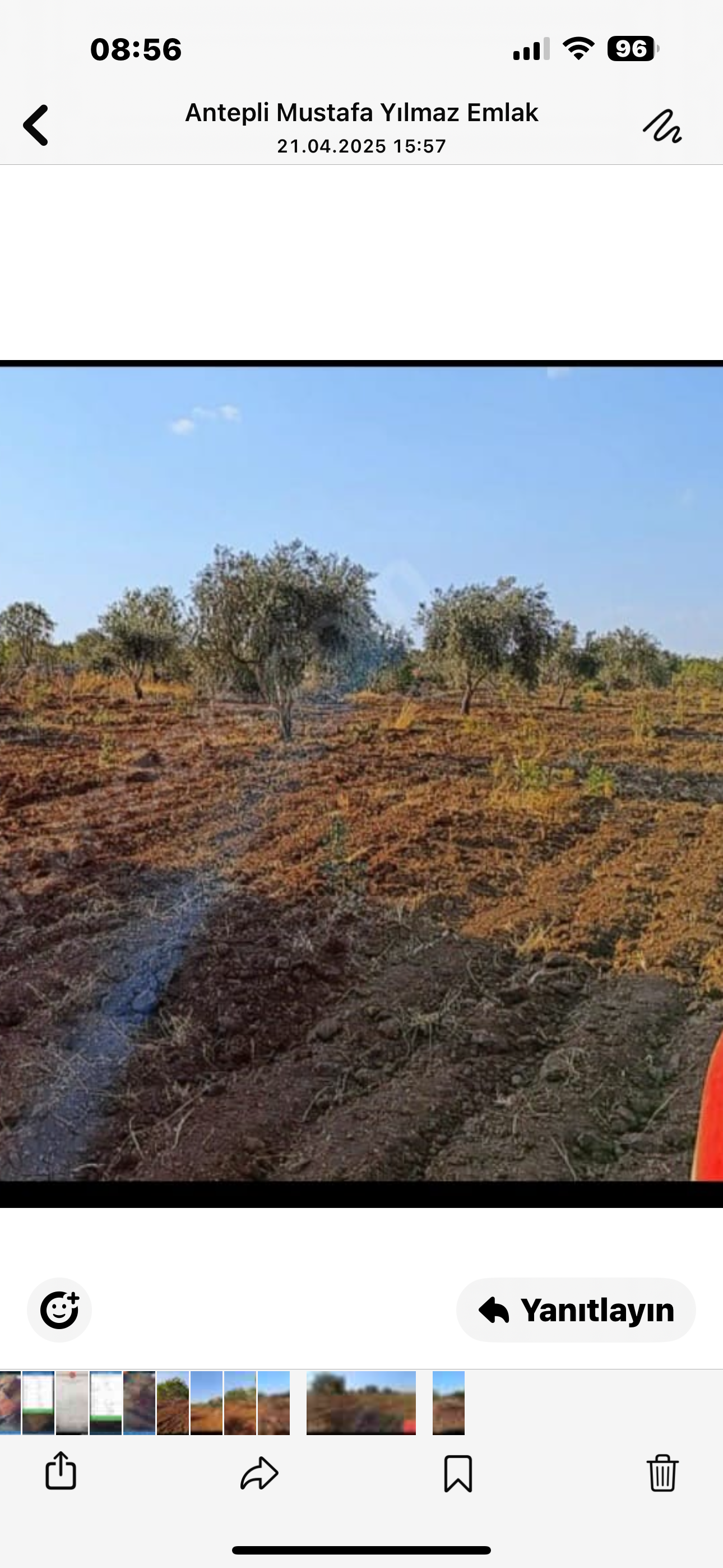SATILIK FISTIK BAHÇESİ - KİLİS MERKEZ fotoğraf 6