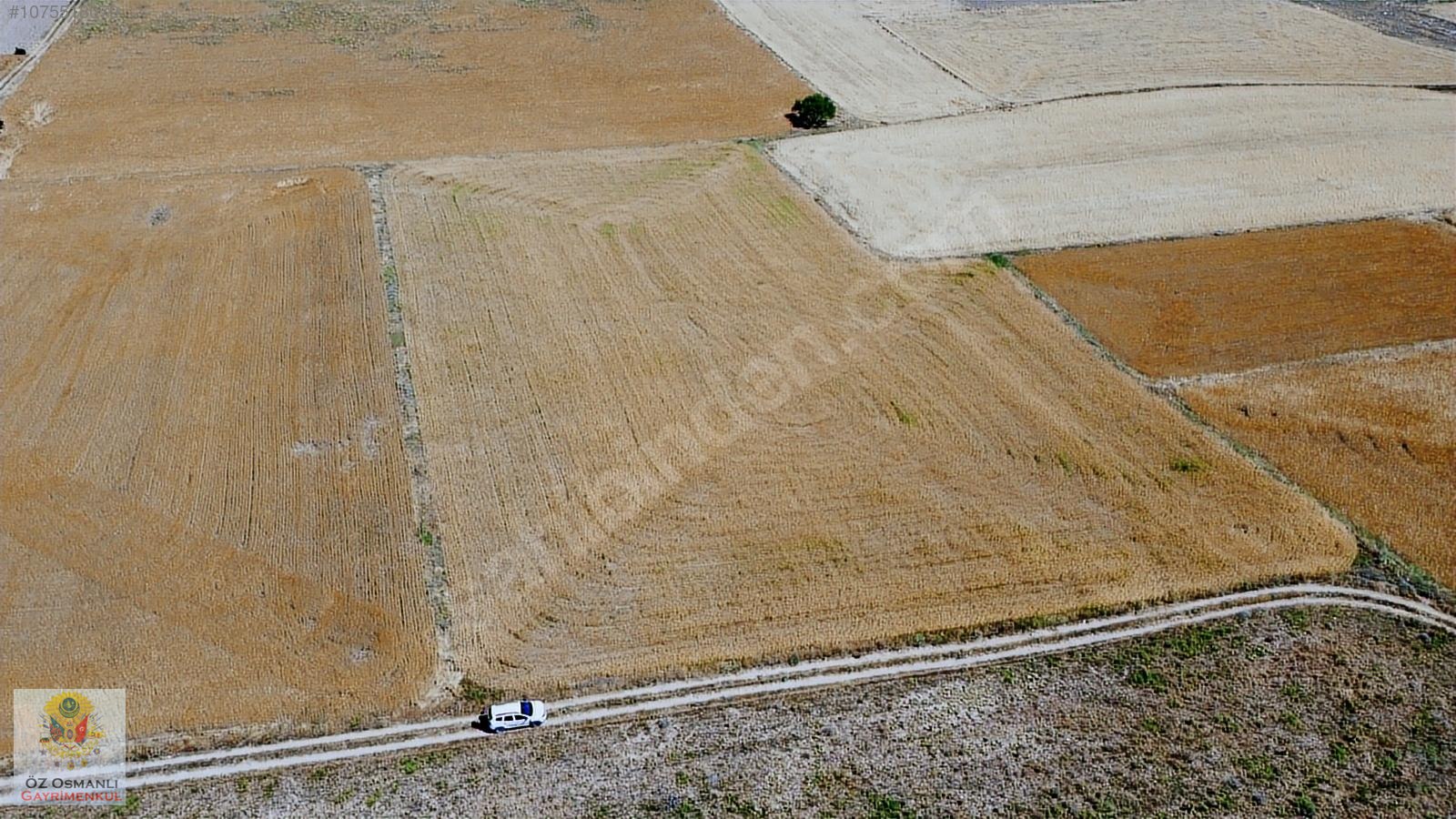 SULTANDAĞINDA 9.300 M2 KÖYE YAKIN SATILIK DÜZ TARLA - AFYONKARAHİSAR SULTANDAĞI fotoğraf 4