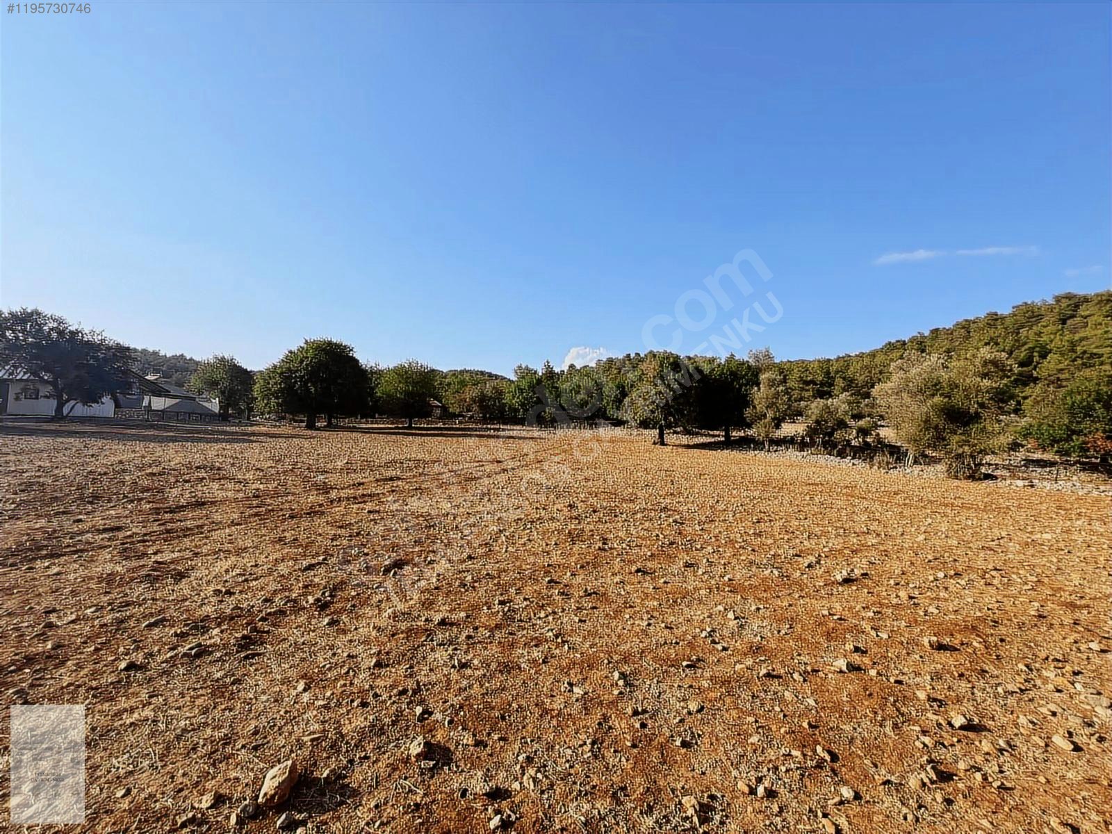 KAYAKÖYDE SATILIK RIZAİ TAKSİMLİ YATIRIMLIK 5300 m2 TARLA - MUĞLA FETHİYE fotoğraf 3