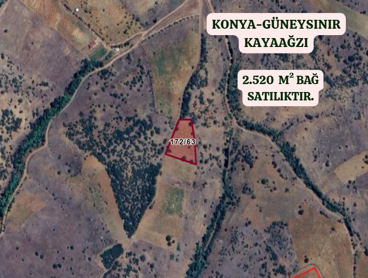 KONYA GÜNEYSINIR KAYAAĞZI  KÖYÜNDE 2.520  M²  BAĞ  SATILIKTIR - KONYA GÜNEYSINIR fotoğraf 2
