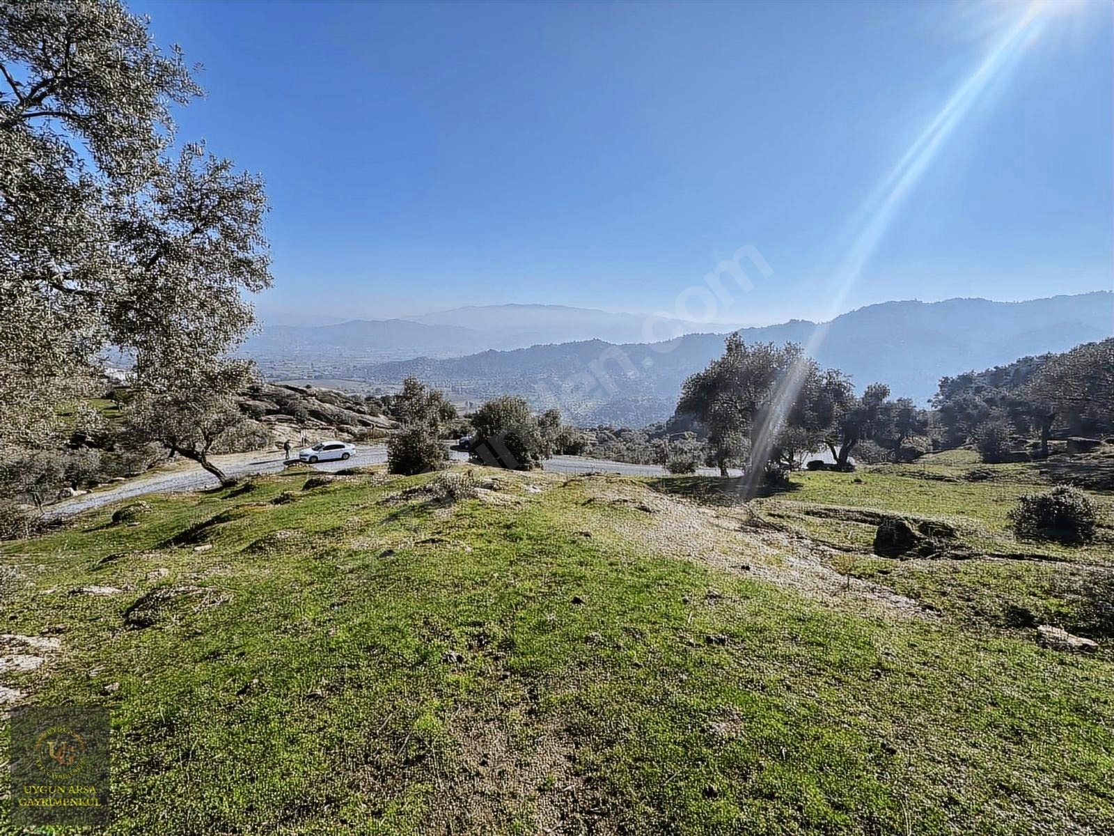 AYDIN KARPUZLU MERKEZ'DE 21.050 M2 ANA YOLA CEPHE ZEYTİNLİK - AYDIN KARPUZLU fotoğraf 19