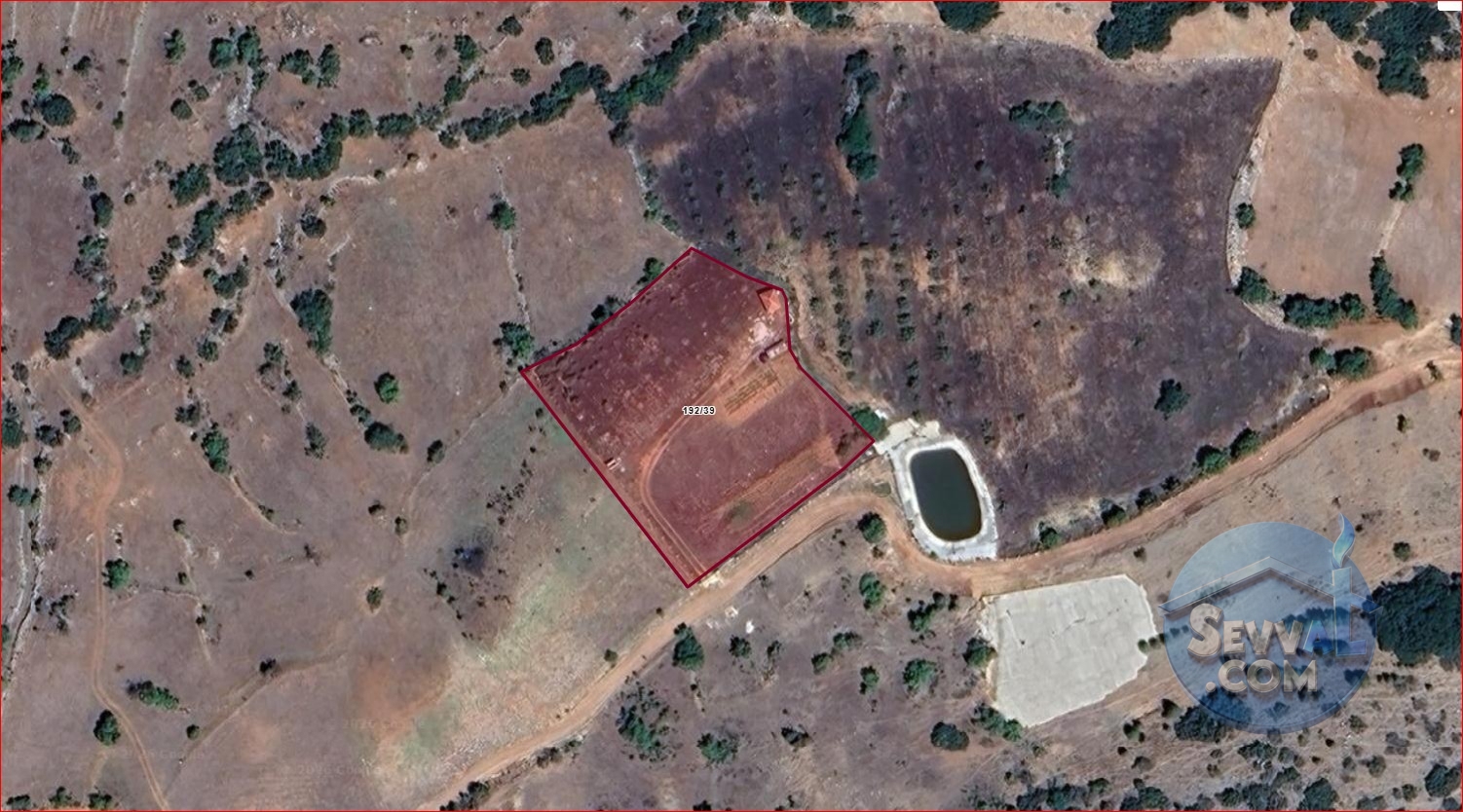 AĞLASUN ÇANAKLI KÖYÜNDE SATILIK BAĞ EVİ VE BAHÇESİ - Burdur Ağlasun fotoğraf 7