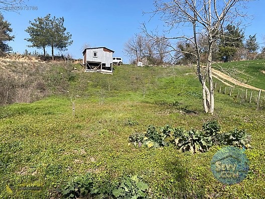 YENİ ŞEHİR OTOBANA 400 METRE HOBİ BAHÇESİ 1000M2 - BURSA YENİŞEHİR fotoğraf 3