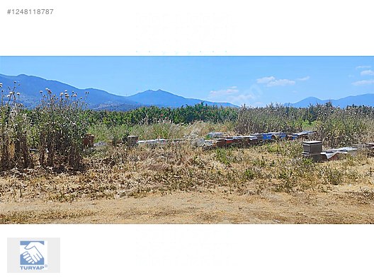 Kemalpaşa Örende 1234 M2 Satılık Müstakil Bahçe - İZMİR KEMALPAŞA fotoğraf 22