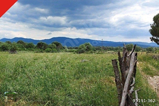 KOZAK HACIHAMZALAR MAH DE 5150 M2 İMARLI TARLA - İZMİR BERGAMA fotoğraf 5