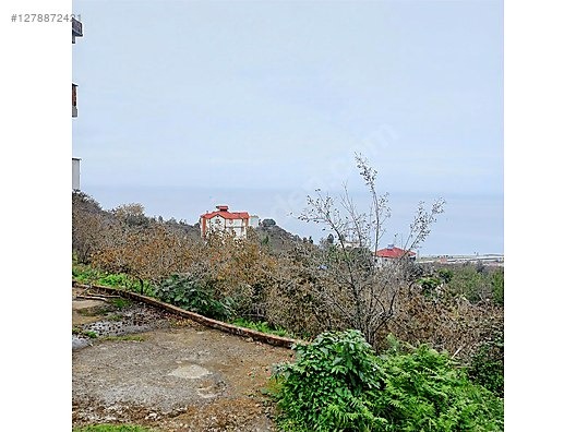 TİREBOLU KÖRLİMAN MAHALLESİNDE DENİZ MANZARALI SATILIK BAHÇE - GİRESUN TİREBOLU fotoğraf 6