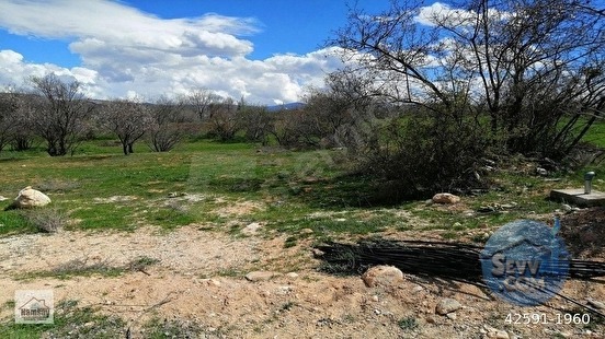 Çevreyoluna Çok Yakın 5 Dönüm Bahçe, 2 tarafı da yol - ANTALYA KORKUTELİ fotoğraf 51