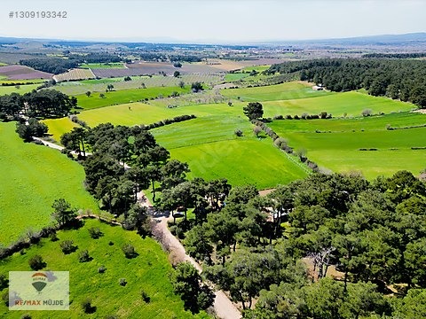 Çanakkale Bayramiç Kutluoba Satılık Tarla - ÇANAKKALE BAYRAMİÇ fotoğraf 7