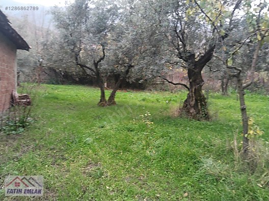 Orhangazi Gemiç Köyü Mahallesi köy içi arsa - BURSA ORHANGAZİ fotoğraf 26