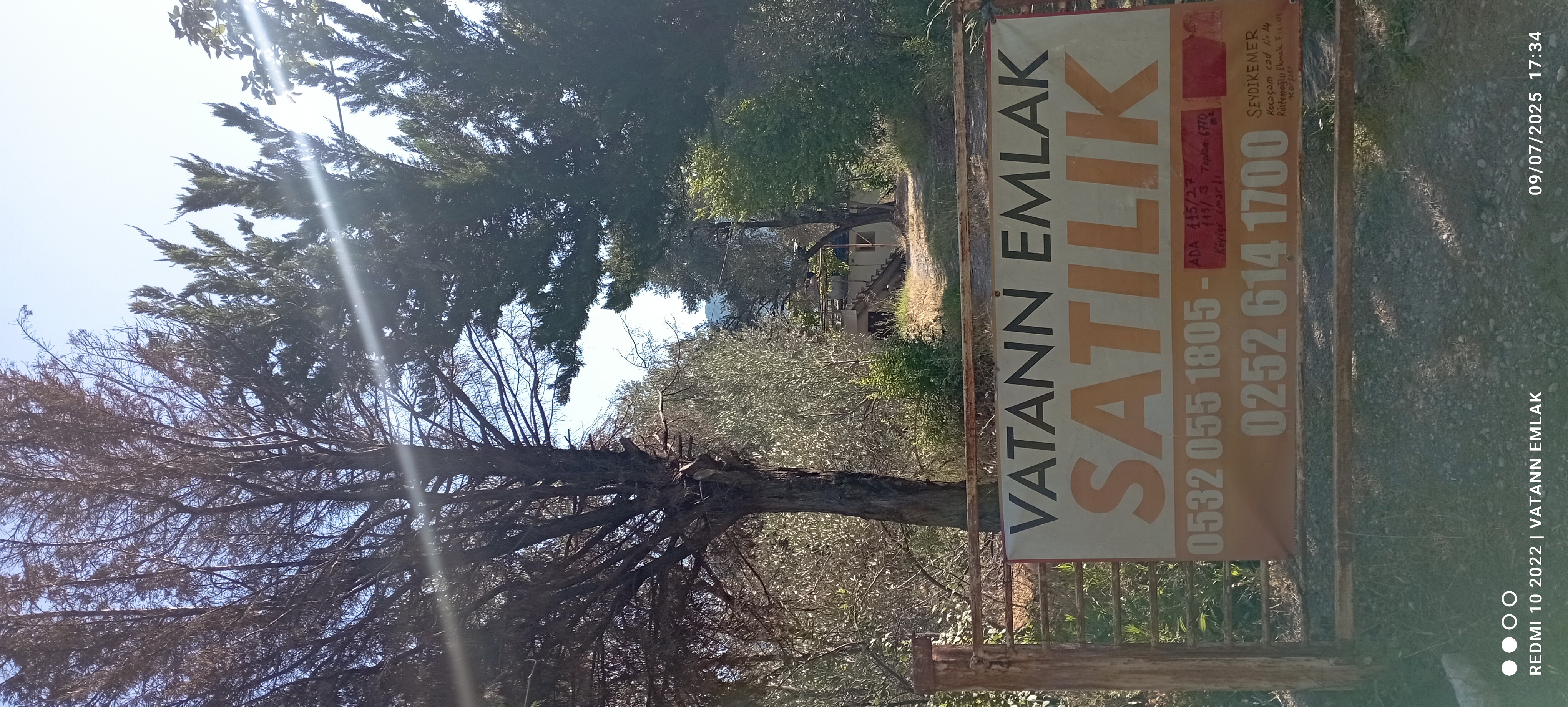 Satılık zeytin bahçesi ve betanerme tapuya kayıtlı ev - MUĞLA SEYDİKEMER fotoğraf 3