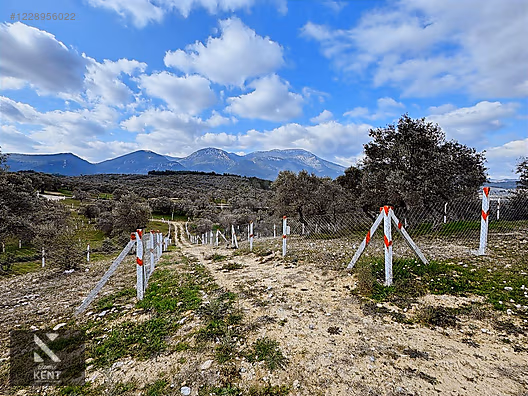 Kemalpaşa Vişneli Satılık 370 m2 Bahçe Elektrik Su Yol - İZMİR KEMALPAŞA fotoğraf 49