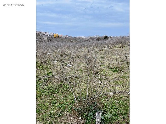 ESPİYE ÇAM MAHHALLESİ AYRIK NİZAM 7 KAT İMARLI FIRSAT ARSALAR - GİRESUN ESPİYE fotoğraf 12