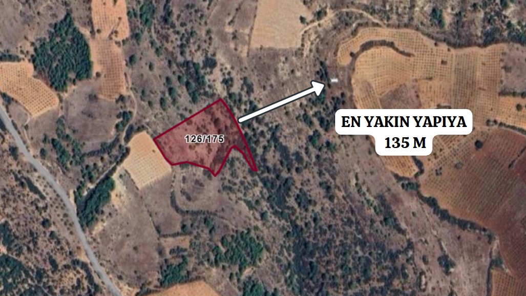 DENİZLİ ÇAL BAHADINLAR 6.432 M² BAĞ SATILIKTIR - DENİZLİ ÇAL fotoğraf 4