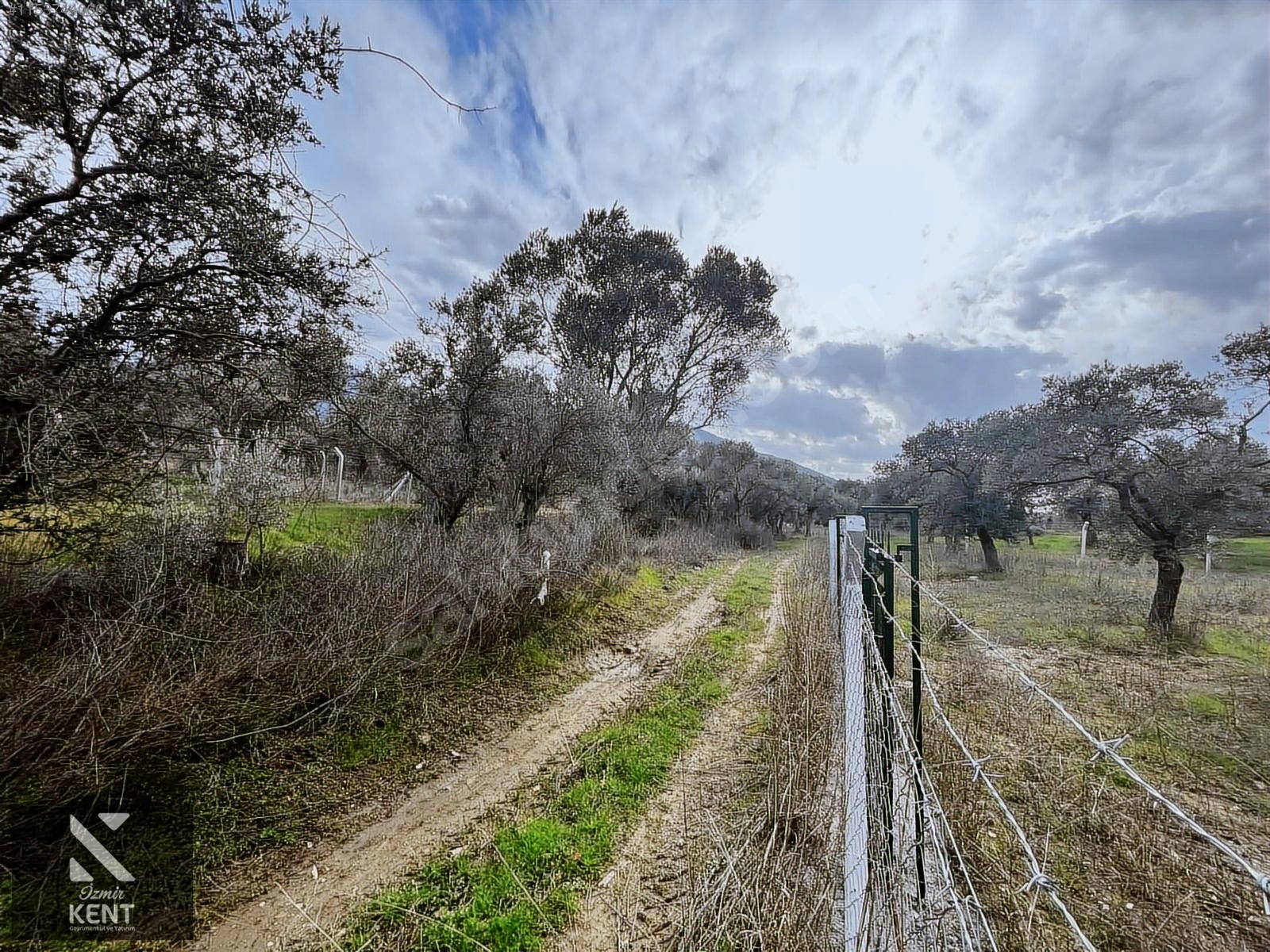 Kemalpaşa Gökyaka Satılık 2700 m2 Bahçe - İZMİR KEMALPAŞA fotoğraf 30