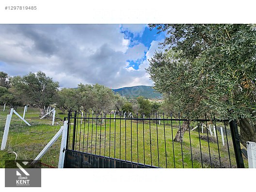 Kemalpaşa Sütçüler Satılık 331 m2 Bahçe - İZMİR KEMALPAŞA fotoğraf 5