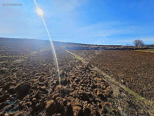 Bucak Seydiköy'de Göl Manzaralı 20 Dönüm Satılık Tarla - BURDUR BUCAK fotoğraf 7