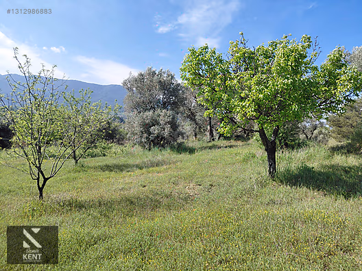 Kemalpaşa Dereköy'de Satılık 4850 m2 Bahçe - İZMİR KEMALPAŞA fotoğraf 30