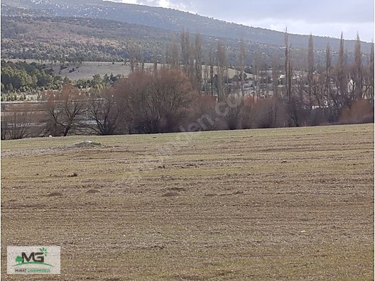 KÜTAHYA ALTINTAŞ PINARCIK KÖYÜ KELEPİR ARSA TARLA ARAZİ - KÜTAHYA ALTINTAŞ fotoğraf 19
