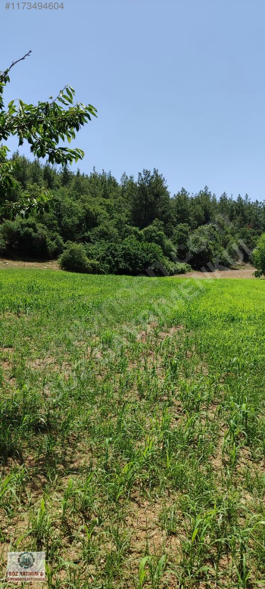 SÖZ EMLAKTAN; BAYINDIR LUTUFLARDA TEK TAPU BAHÇE - İZMİR BAYINDIR fotoğraf 9