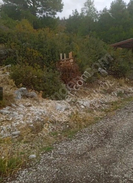 Antalya / Akseki / Hocaköy Mahallesinde  5.744 m² SATILIK TARLA