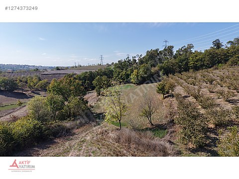 KANDIRA'DA YERLEŞİM KENARI TERAS KONUMDA 1210 M2 SATILIK TARLA - KOCAELİ KANDIRA fotoğraf 7