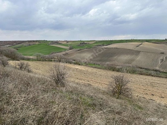 BABAESKİ ATATÜRK MAHALLESİNDE SATILIK 4234M2 5 HİSSE TOPLU ARAZİ
